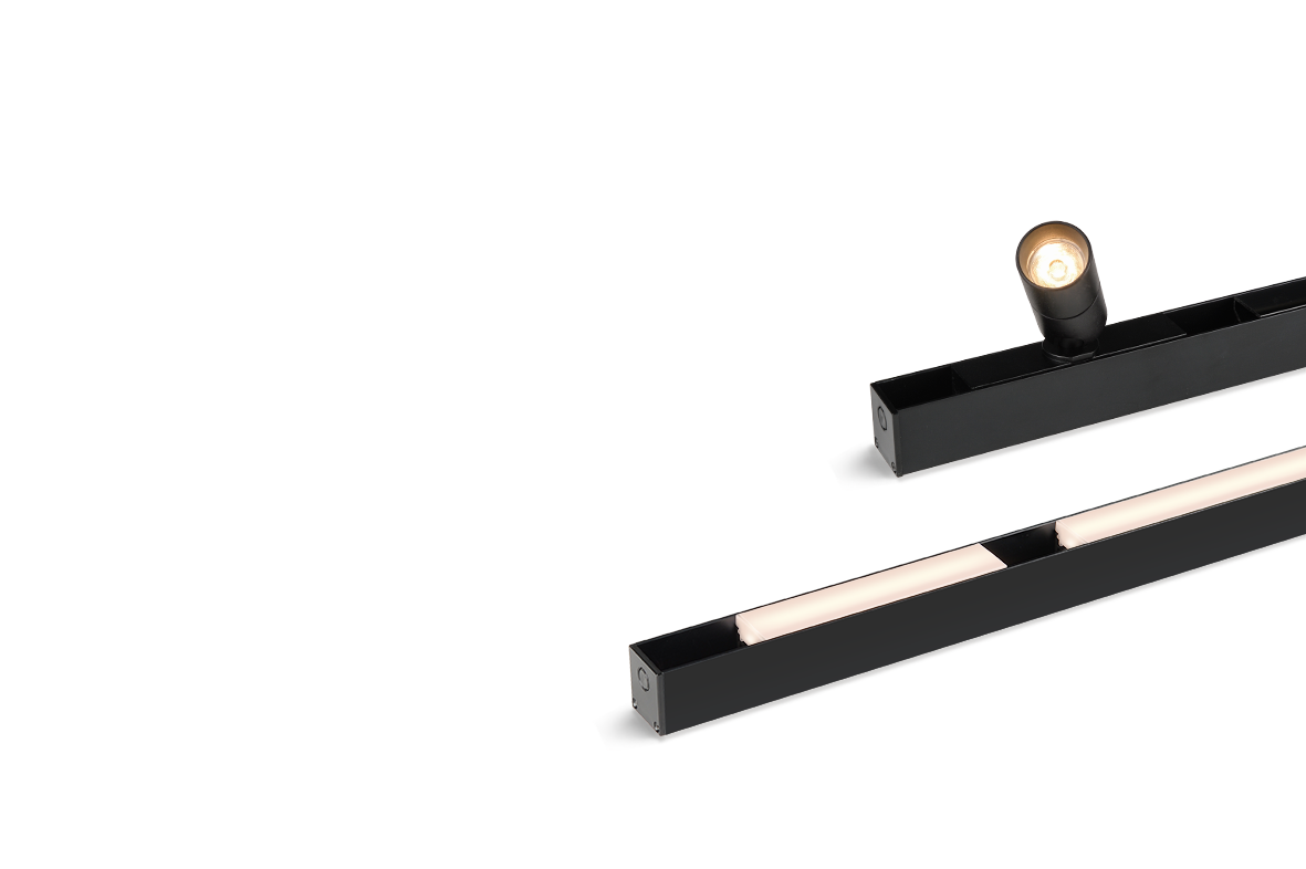 MonoRail 2